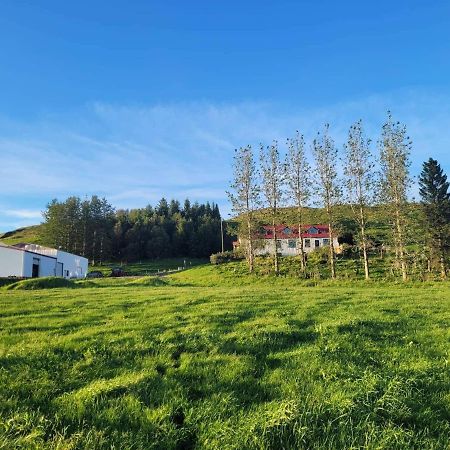 The Old House Apartment Selfoss Luaran gambar