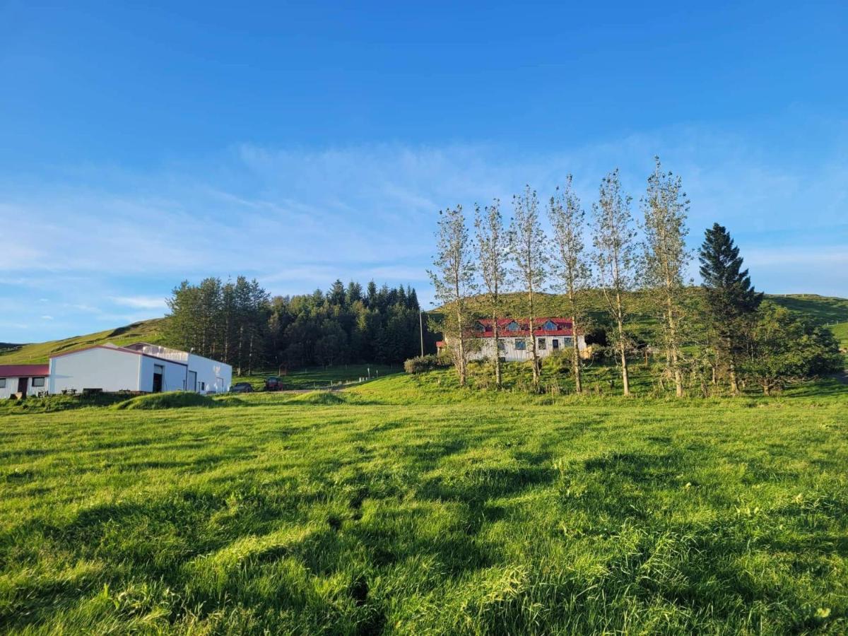 The Old House Apartment Selfoss Luaran gambar